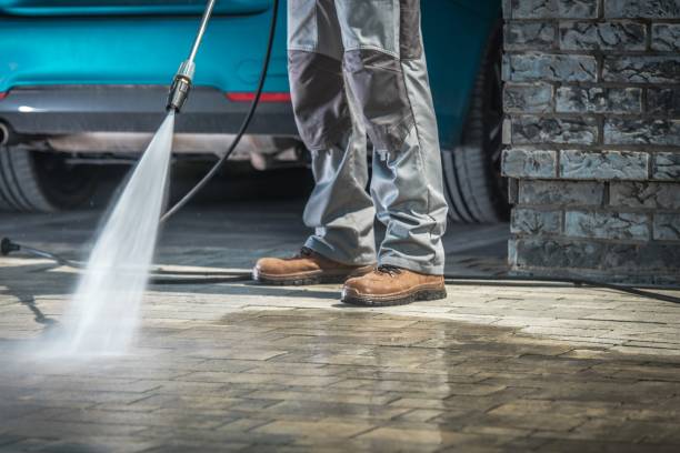 Best Dumpster Area Cleaning  in Norridge, IL