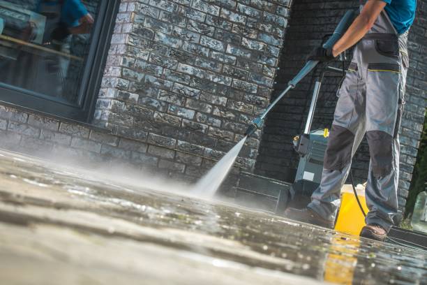 Best Animal Enclosure Cleaning  in Norridge, IL